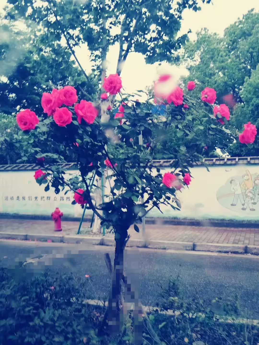 黑客