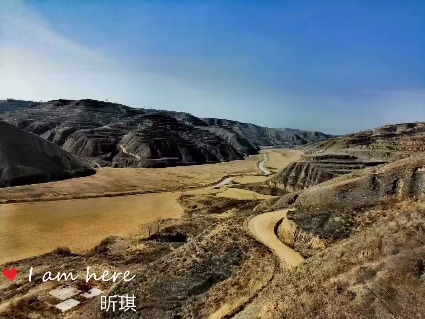 艺术